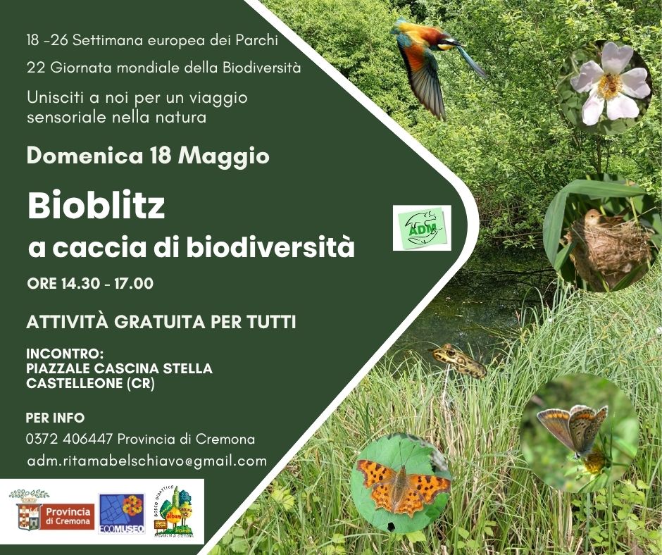 Locandina Bioblitz 2025