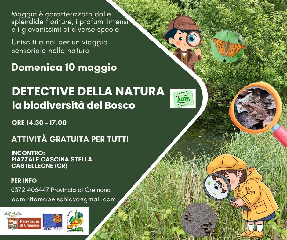 Locandina apertura del 10 maggio 2026