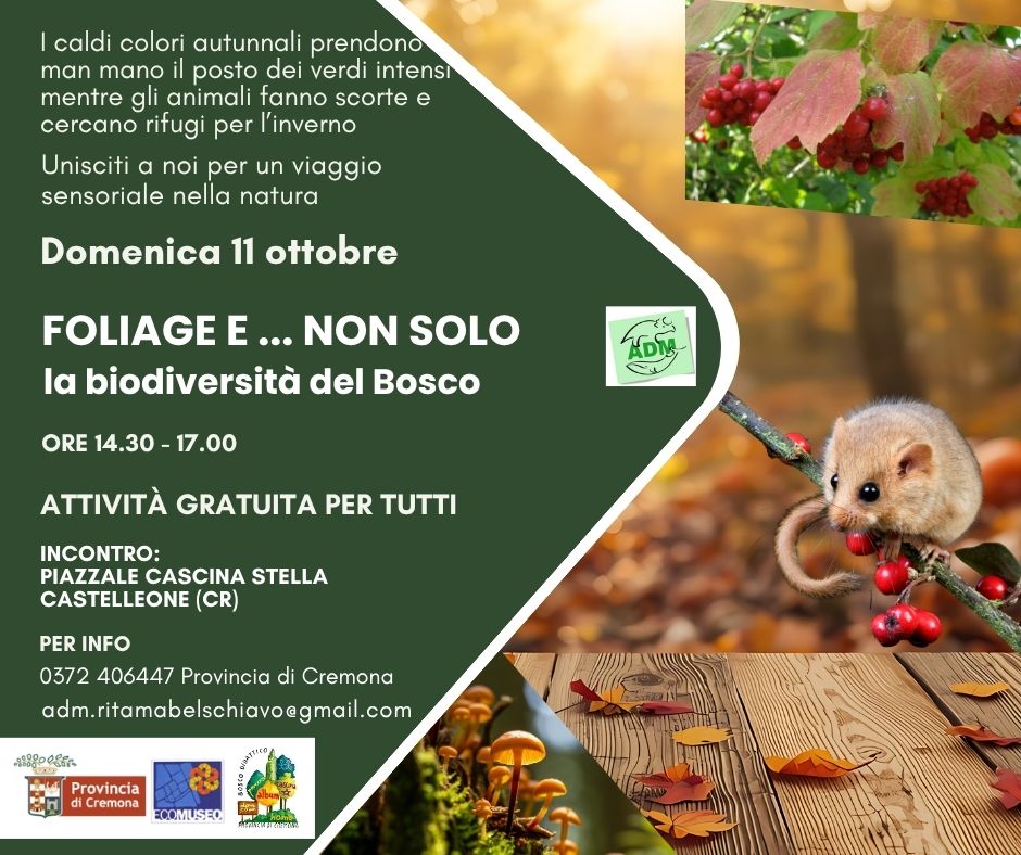 Locandina con il programma della giornata