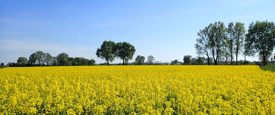 Il territorio provinciale è in gran parte dedicato all'attività agricola